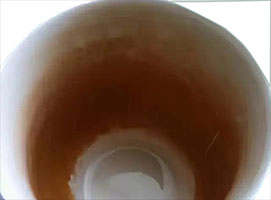 茶叶1.jpg 茶叶1.jpg