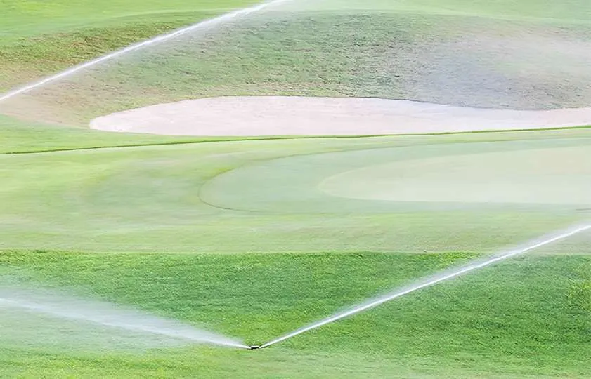 Campo de golf