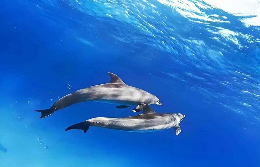 Agua de mar