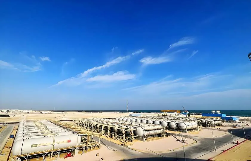 What are the pros and cons of desalination plants?