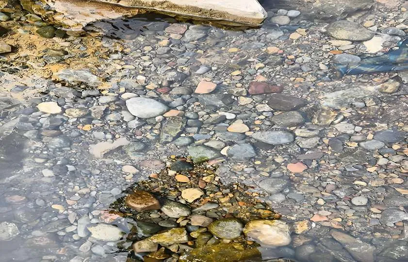 ¿Cómo tratar el agua del río para beberla?