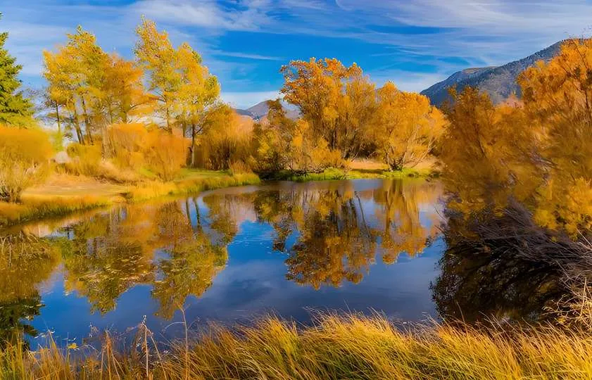 South America