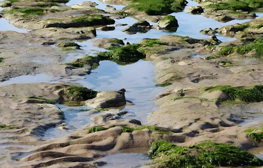 Tratamiento de aguas superficiales