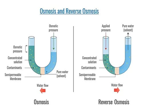 osmosis and reverse osmosis osmosis and reverse osmosis