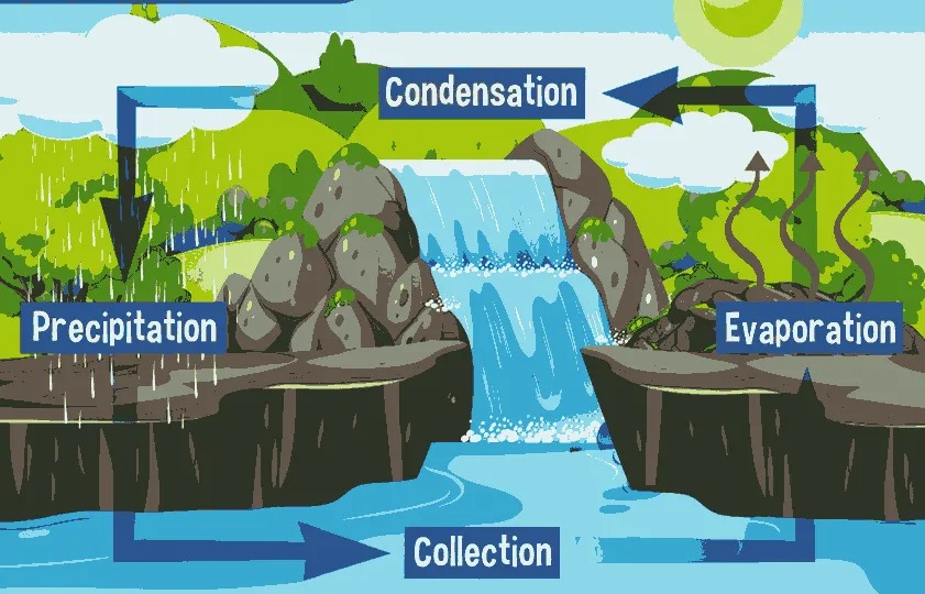¿Qué es el ciclo del agua? Los 7 pasos del ciclo del agua