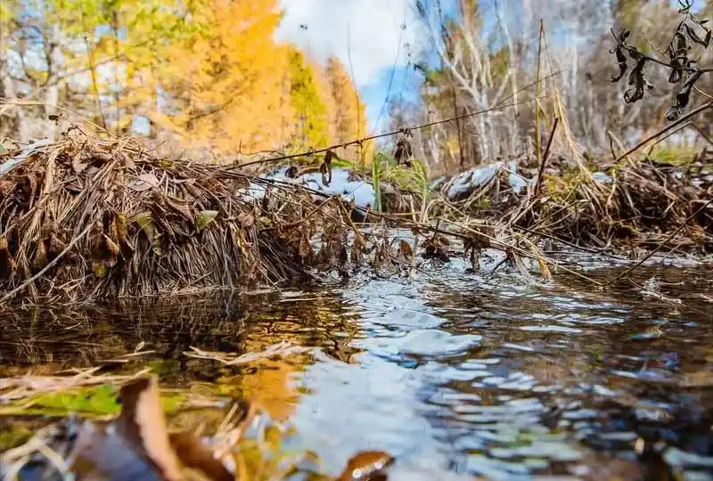 озерная вода озерная вода